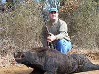 Wild Hog Hunting
