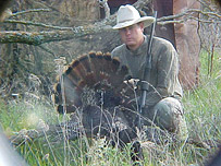 Texas Turkey Hunt